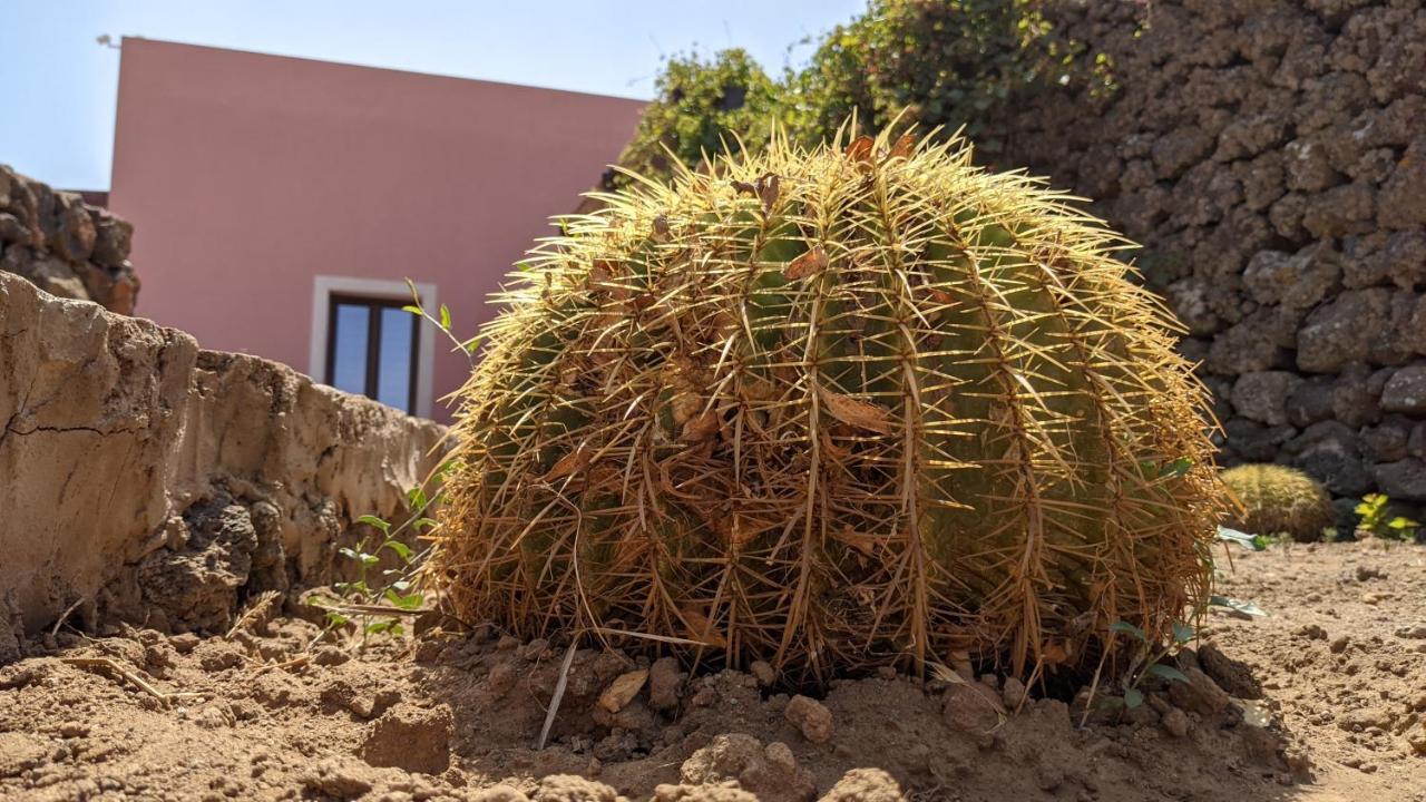 Horizon Pantelleria Bed and Breakfast Campobello Exterior foto